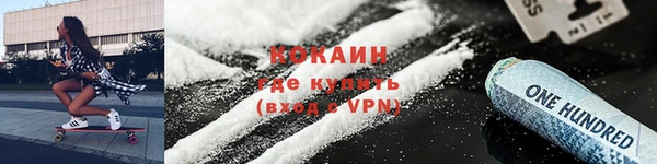 крисы Богданович
