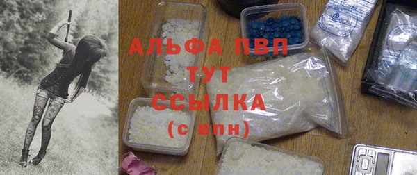 крисы Богданович