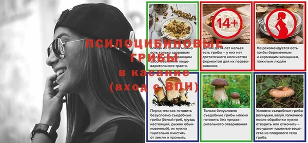 крисы Богданович