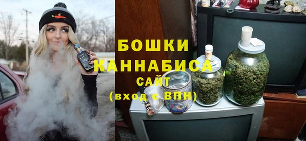 крисы Богданович